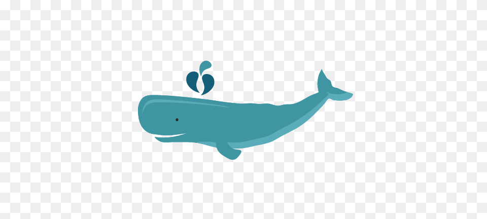 Whale Svg Scrapbook Cut File Cute Clipart Files For Cricut Whale, Animal, Sea Life, Fish, Mammal Free Png