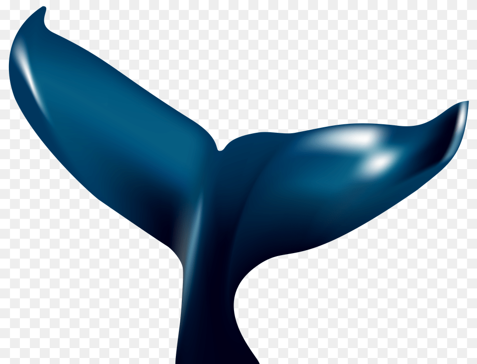 Whale Tail Clip Art, Graphics Png