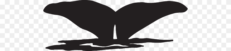 Whale Tail Decal, Silhouette, Stencil, Animal, Fish Free Transparent Png