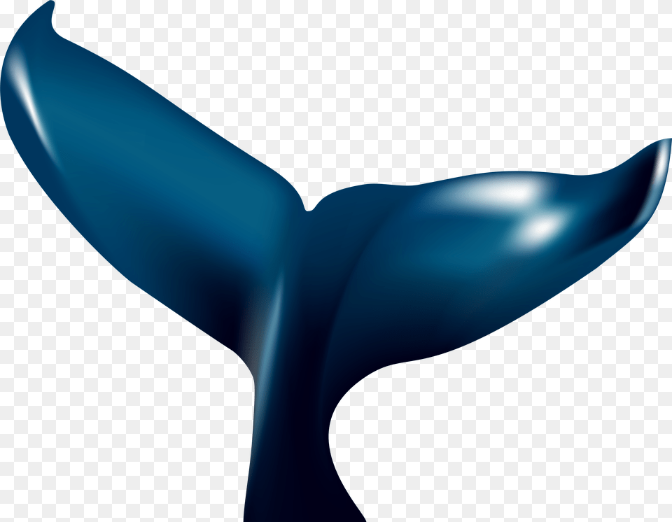 Whale Tale Transparent Clip Art Image Blue Whale Tail, Animal, Mammal, Sea Life Free Png