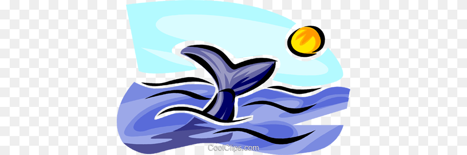 Whale Watching Royalty Vector Clip Art Illustration, Animal, Mammal, Sea Life, Fish Png