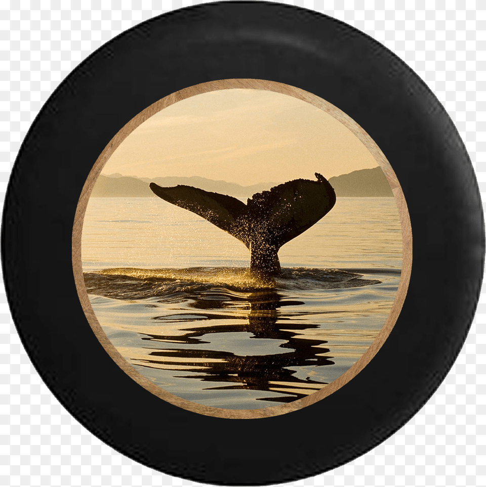 Whale Watching Tail Going Into The Ocean Jeep Camper Fish, Animal, Mammal, Photography, Sea Life Free Png Download