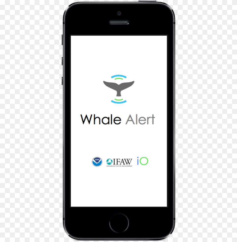 Whalealert Iphone, Electronics, Mobile Phone, Phone Png Image