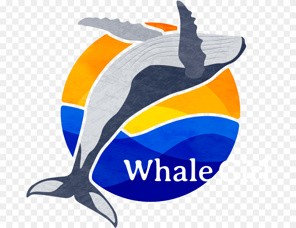 Whalegirl Common Dolphins, Animal, Sea Life, Fish, Shark Png Image