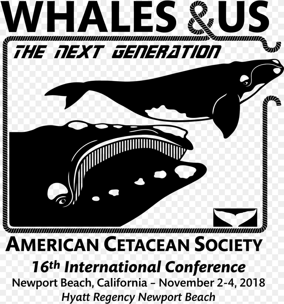 Whales And Us American Cetacean Society, Gray Png