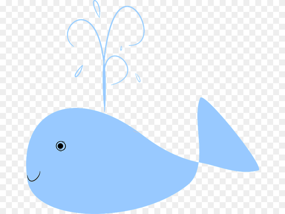 Whales Cartoon, Art, Animal, Sea Life, Beluga Whale Free Png Download