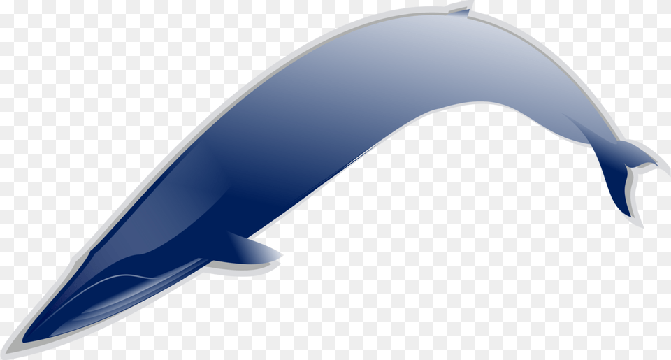 Whales Dolphins And Porpoisesfishdolphin Curev Blue, Animal, Sea Life, Mammal, Blade Free Transparent Png