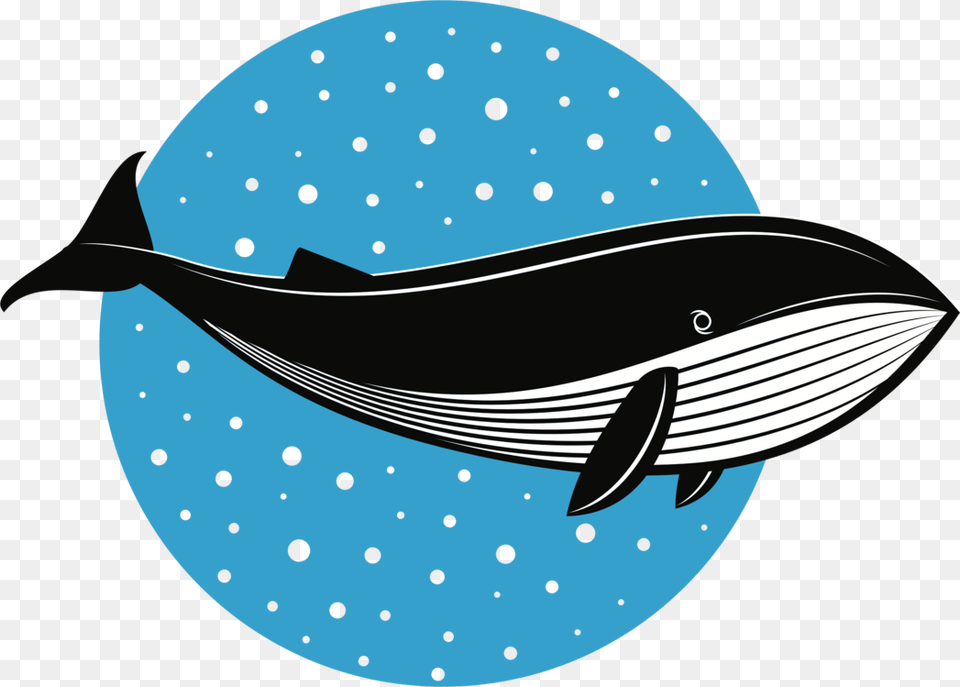 Whales Fish Logo Dolphin Drawing Cc0 Ikan Paus Clipart, Animal, Mammal, Sea Life, Whale Png