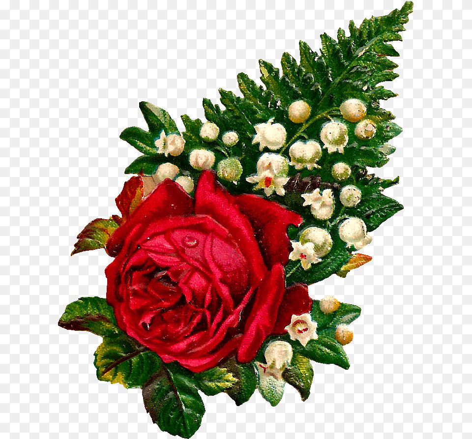 What A Beautiful Digital Red Rose Graphic I Love This, Flower, Flower Arrangement, Flower Bouquet, Plant Png Image