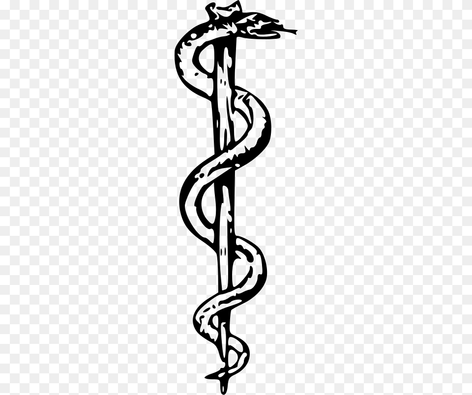 What A Difference A Snake Makes Rod Of Asclepius, Gray Free Png