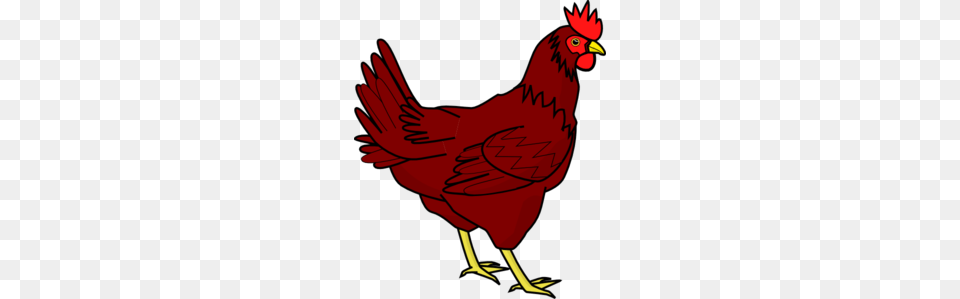 What A Long Strange Trip It Still Is The Little Red Hen Modern, Animal, Bird, Fowl, Poultry Free Transparent Png