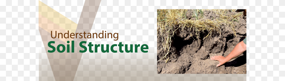 What Affects Soil Structure Soil, Person, Outdoors, Nature Free Transparent Png