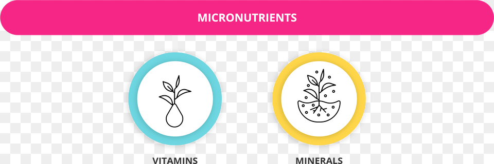 What Are Macronutrients And Micronutrients Getsmarter Blog Vertical, Accessories, Earring, Jewelry, Text Png