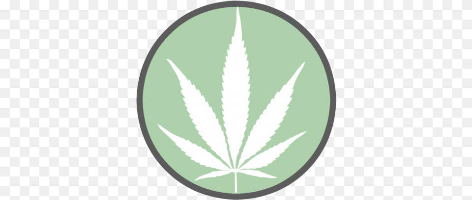 What Are Some Of The Health Benefits Of Medical Marijuana Emblem, Herbal, Herbs, Leaf, Plant Free Png