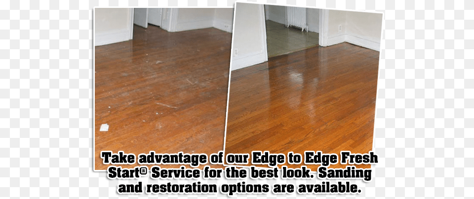 What Are Wood Floors Reptilium Landau, Floor, Flooring, Hardwood, Indoors Free Transparent Png
