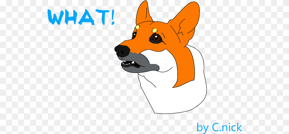 What C, Snout, Animal, Canine, Dog Png