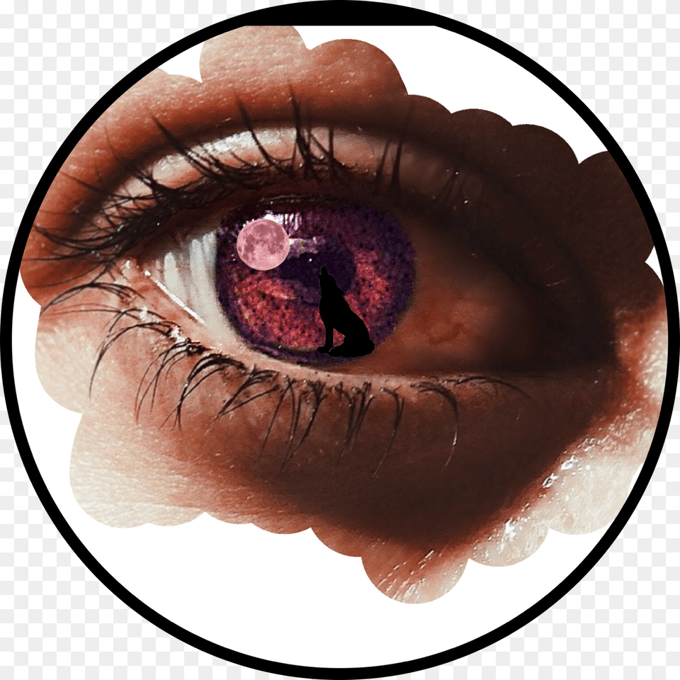 What Colour Eyes Do You Have Close Up, Person, Contact Lens, Face, Head Free Transparent Png