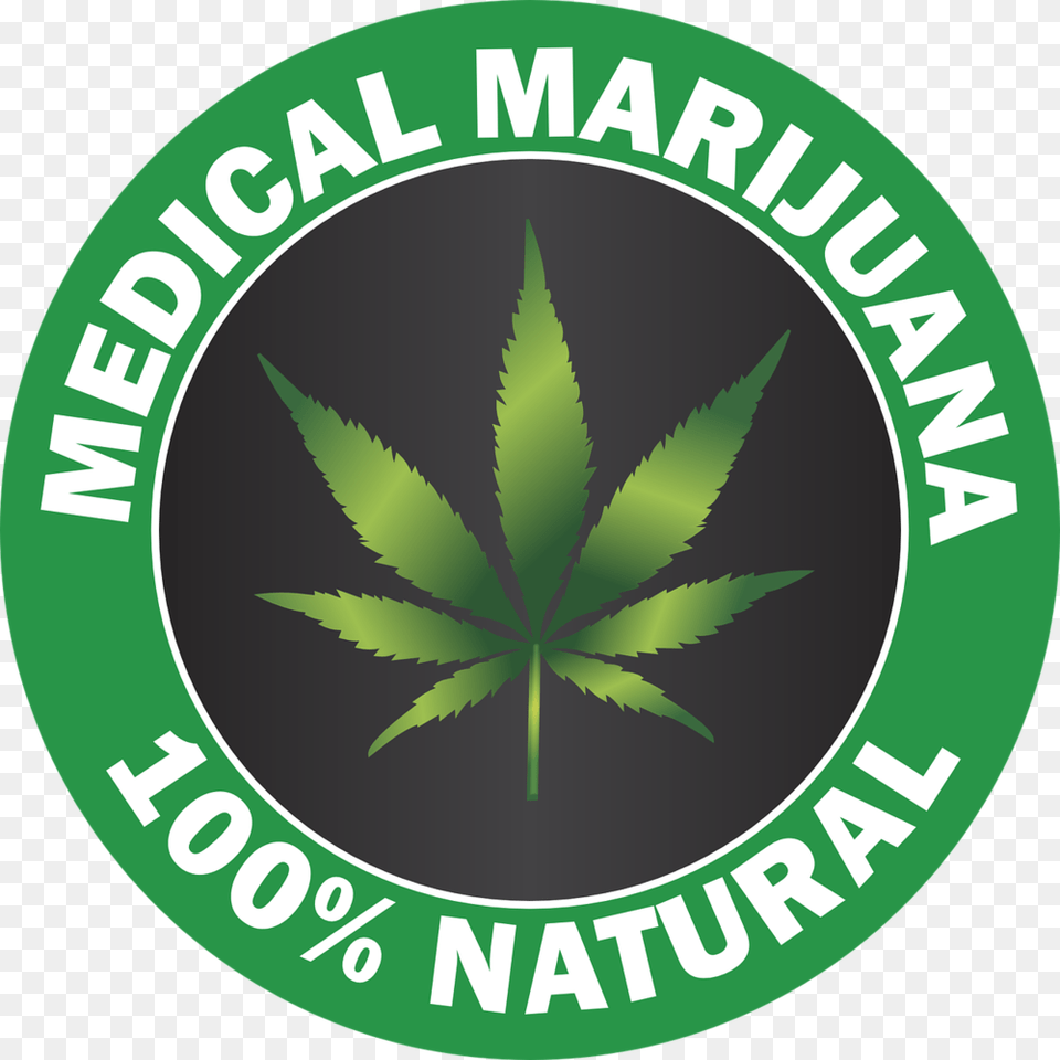 What Conditions Qualify For Medical Marijuana In Florida, Leaf, Plant, Weed, Hemp Free Transparent Png