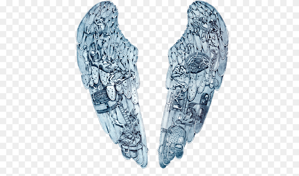 What Do The In The Angel Wings Signify Coldplay Ghost Stories Tattoo, Person, Art, Animal, Bird Png