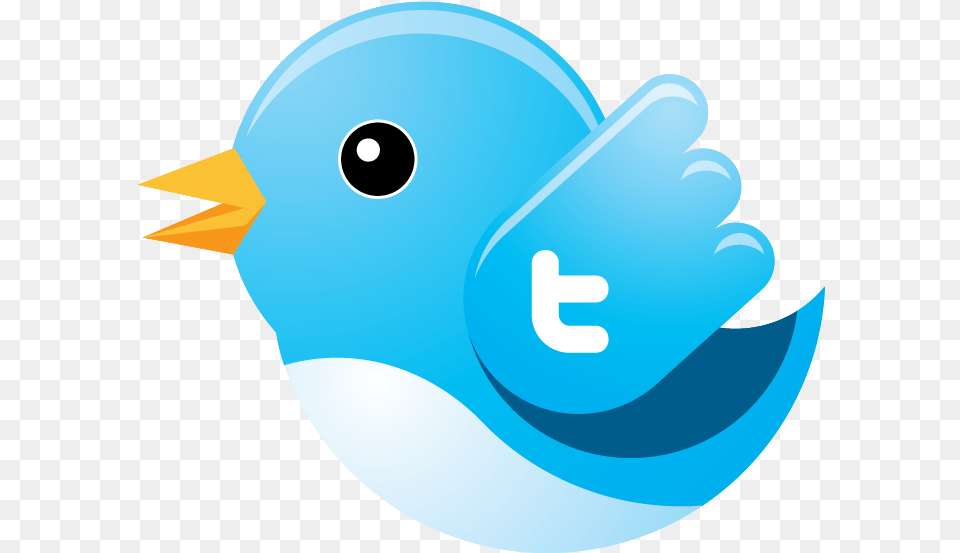 What Do You Mean You Don39t Like The Drop Shadow Pdf Of Twitter Logo, Animal, Bird, Jay, Baby Free Transparent Png