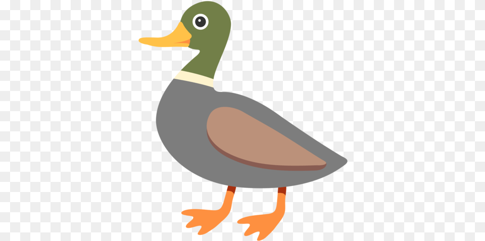 What Does Duck Emoji Mean Duck Emoji Transparent Background, Animal, Anseriformes, Bird, Waterfowl Free Png Download