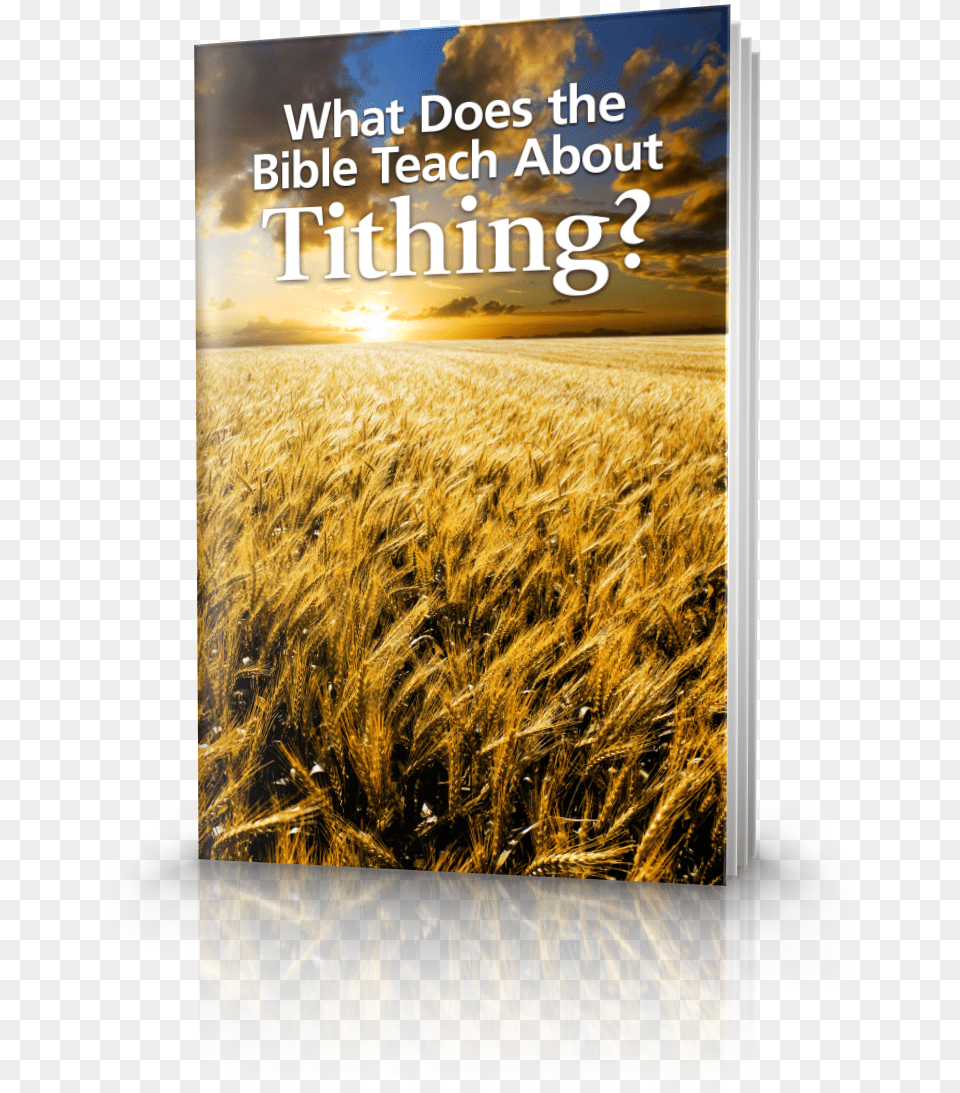 What Does The Bible Teach About Tithing Does The Bible Teach About Tithing, Agriculture, Outdoors, Nature, Field Free Png
