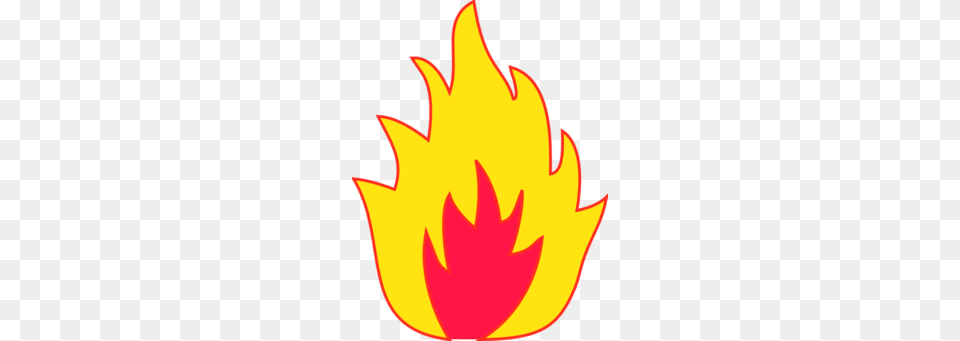 What Happened To The Gold, Fire, Flame, Leaf, Plant Png