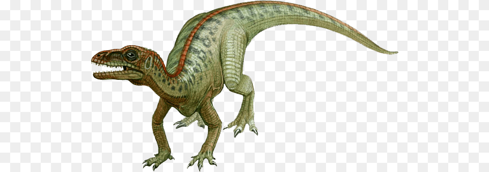 What Is A Dinosaur Dinosaurio Eoraptor, Animal, Reptile, T-rex, Lizard Png