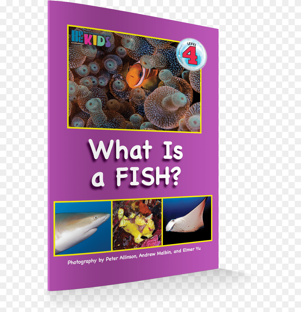 What Is A Fish Revisesd Edition 3d Cover Fish, Advertisement, Sea, Water, Outdoors Free Transparent Png