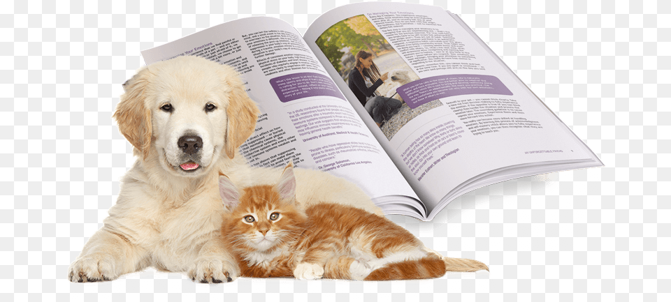 What Is An Unforgettable Friend Cat And Dog Background, Reading, Person, Book, Publication Png Image