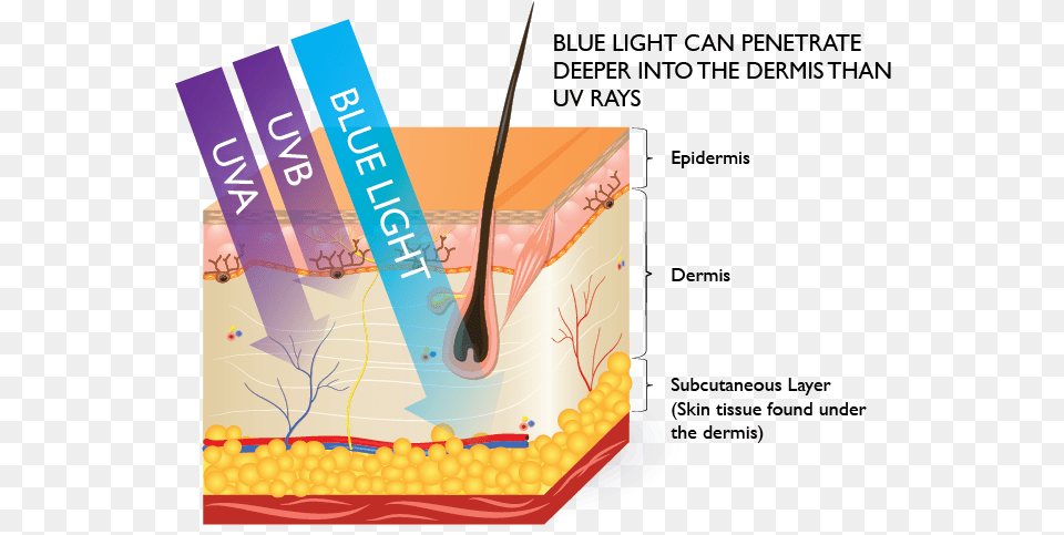 What Is Blue Light And Why It Important To Protect Skin Hev Blue Light, Birthday Cake, Cake, Cream, Dessert Free Transparent Png