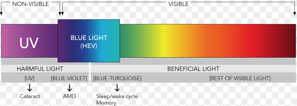What Is Blue Light U2013 Eyez Spectrum Of Light Blue Light, Text Png Image