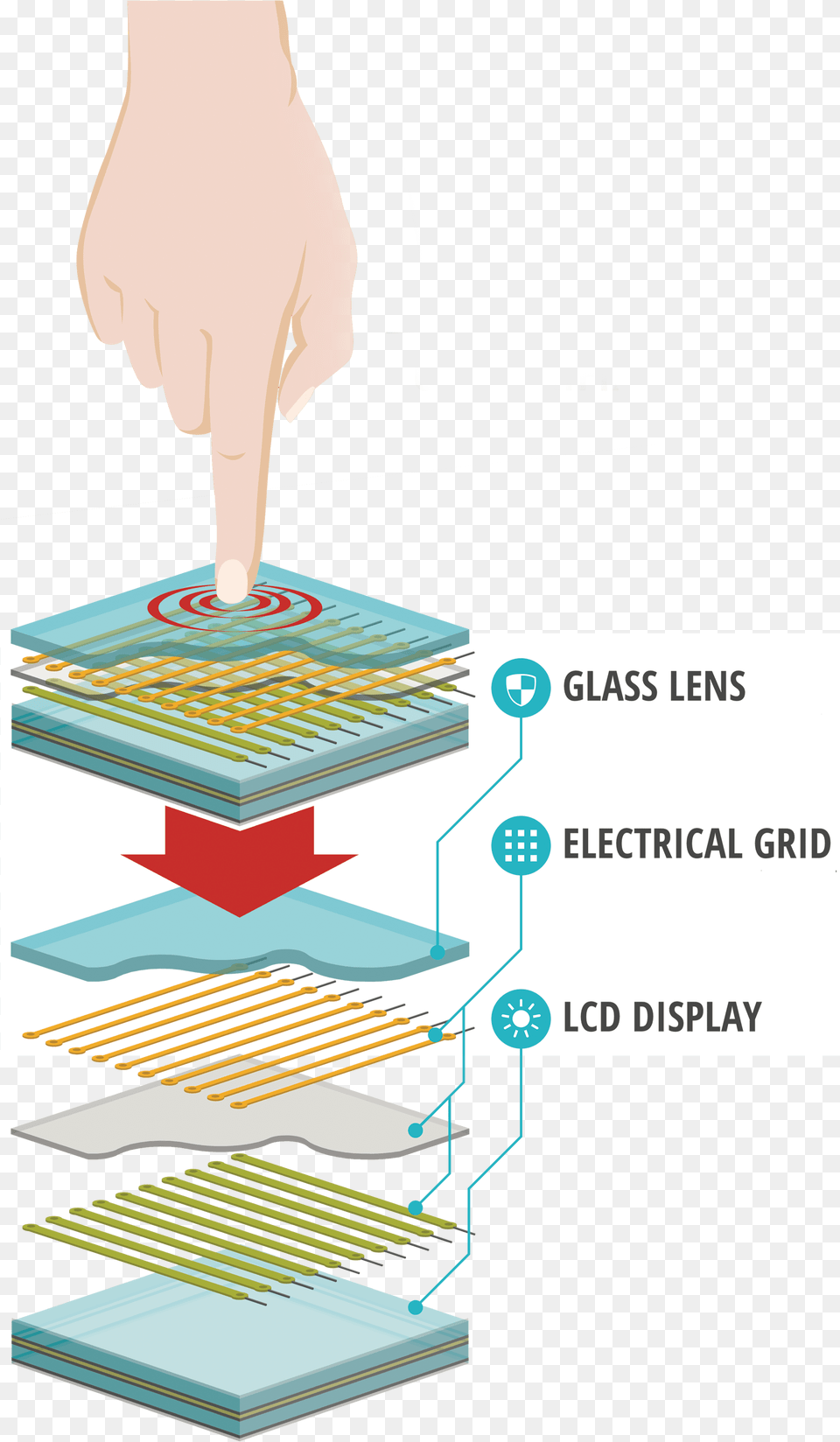What Is Capacitance Do Phone Screens Work, Adult, Female, Person, Woman Free Transparent Png