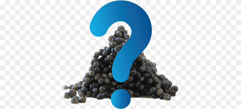 What Is Caviar Caviar, Balloon, Turquoise, Accessories, Berry Free Png Download