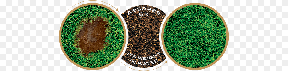 What Is Ez Seed Artificial Turf, Grass, Moss, Plant, Soil Free Png Download