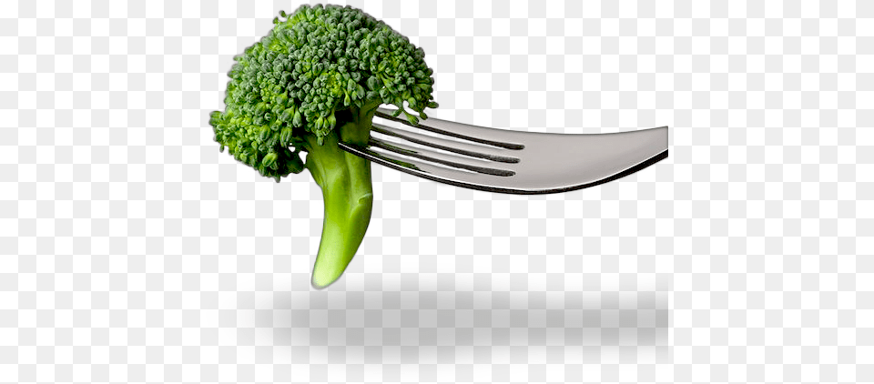 What Is Folic Acid Fork And Broccoli, Cutlery, Food, Plant, Produce Png