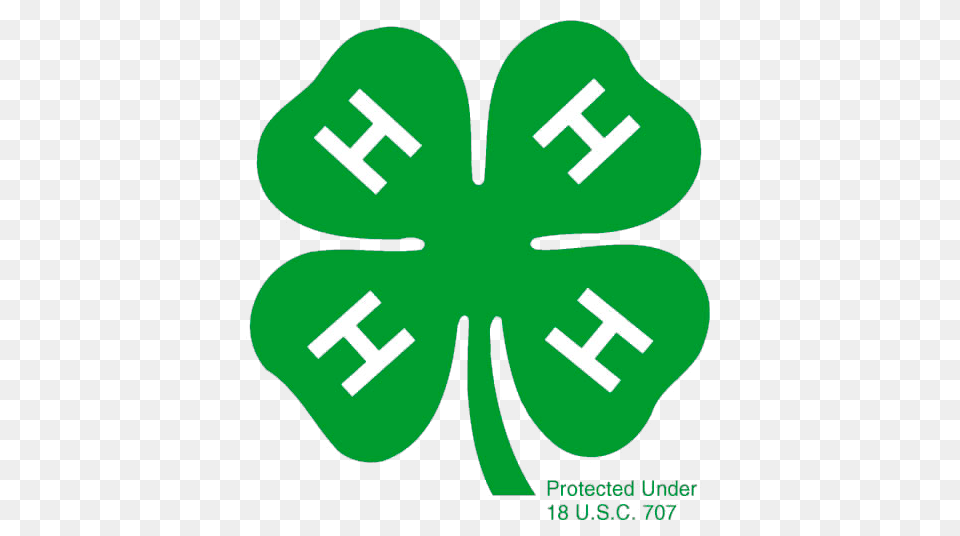 What Is H Seminole County, First Aid, Leaf, Plant, Recycling Symbol Png Image