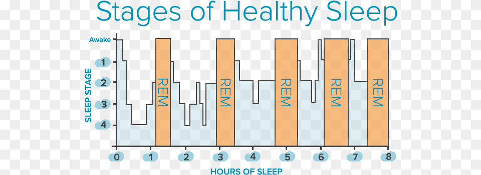 What Is Rem Why Does It Matter Stages Of Sleep, Scoreboard, Bar Chart, Chart Png Image