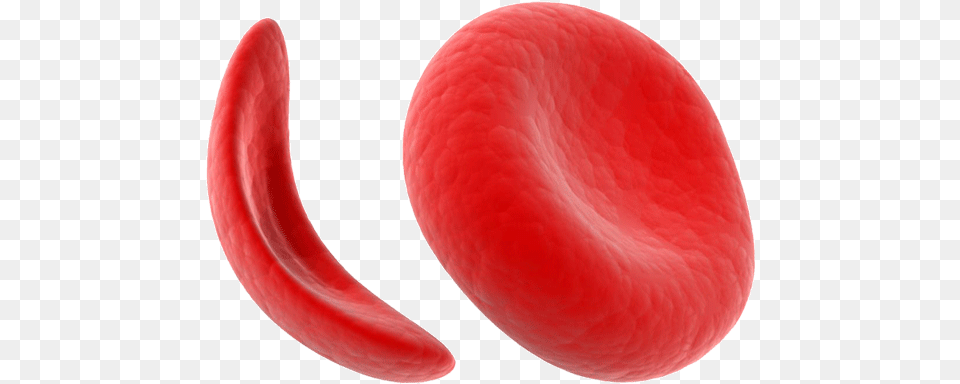 What Is Sickle Cell Disease Sickle Cell Anemia Transparent, Astronomy, Moon, Nature, Night Png