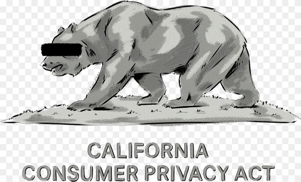 What Is The California Consumer Privacy Act And What California Ccpa, Animal, Bird, Wildlife, Mammal Free Png Download