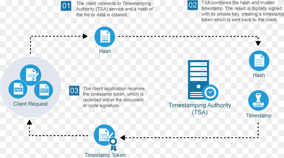 What Is Timestamping Time Stamping, Ct Scan, Text Free Png