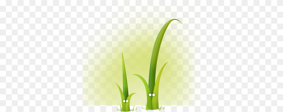 What Is Twig Twig, Grass, Green, Plant, Leaf Free Png Download