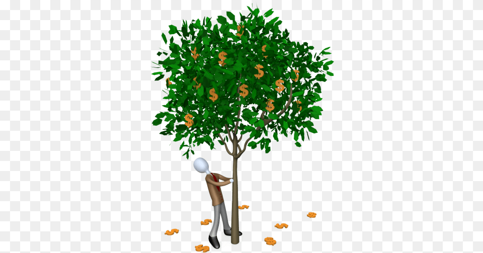 What Is Wealth Moneytree Full Size Seekpng Dollar Tree, Vegetation, Plant, Child, Female Png
