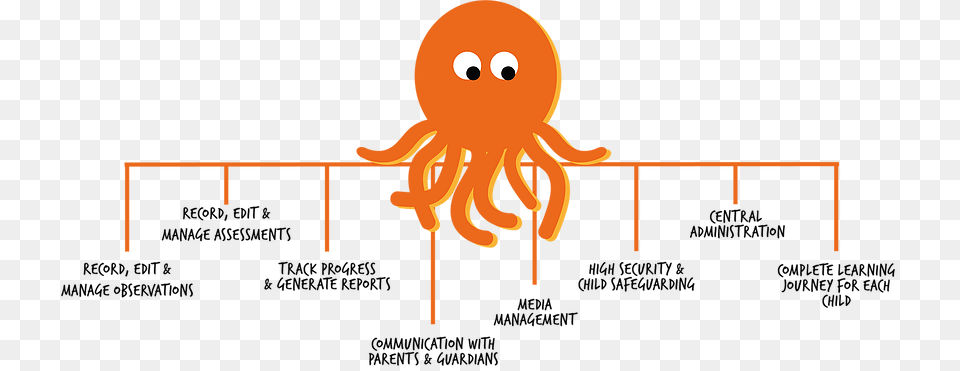 What Makes Us Different Octopus, Animal, Sea Life, Baby, Person Free Png Download