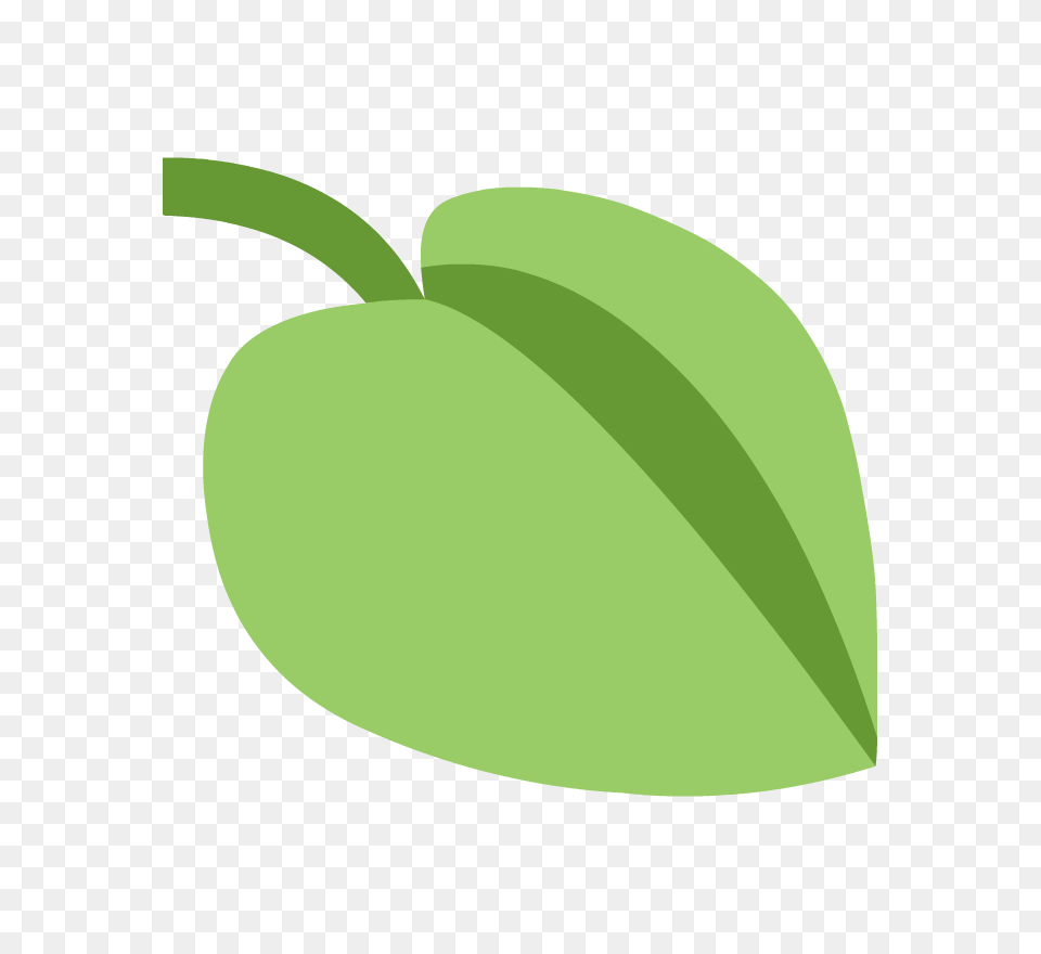 What Plants Need, Leaf, Plant, Food, Produce Png
