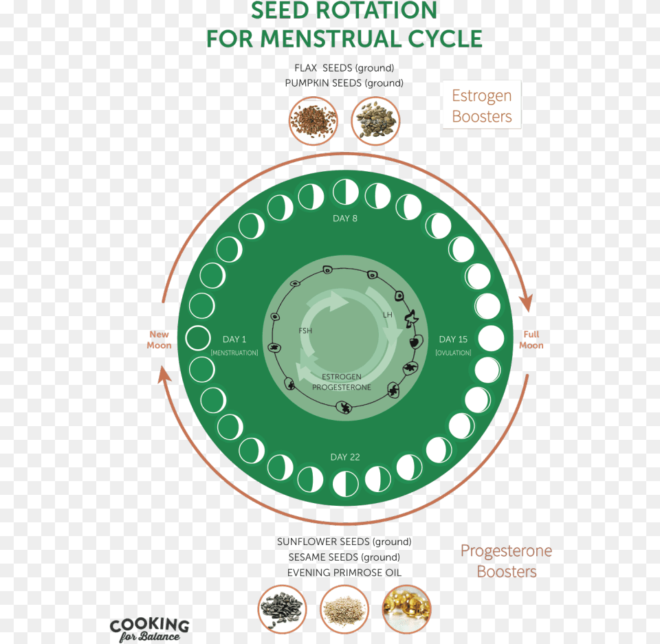 What Seed Cycling, Disk, Advertisement, Electronics, Phone Free Png