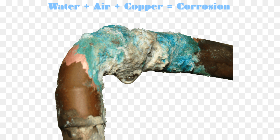 What Starts A Copper Pipe To Leak Green Colour On Copper Pipes, Corrosion, Animal, Bear, Mammal Free Png