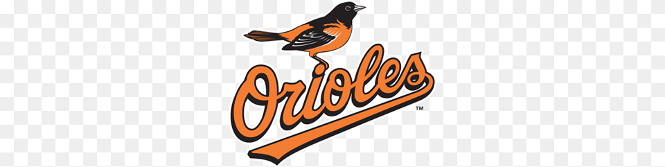 What The Baltimore Orioles And Babe Ruth Have In Common, Animal, Bird, Logo, Text Free Transparent Png