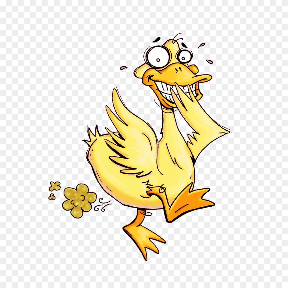What The Hell Is A Duck Fart, Animal, Bird Png Image