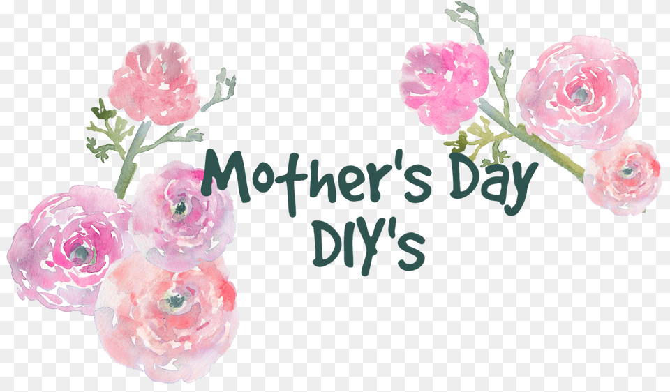 What To Get To My Mom And Mother In Law For Mother39s Loveyourmother Bumper Sticker, Flower, Plant, Rose, Carnation Png Image